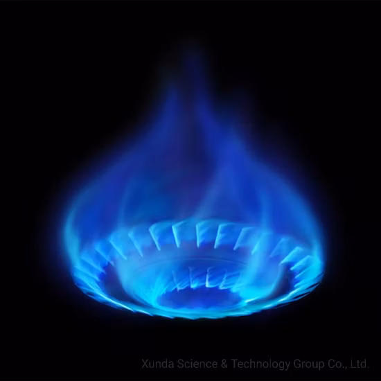 Xunda Single Burner Table Gas Stove Tornado Flame Glass Panel Stove Gas Burner