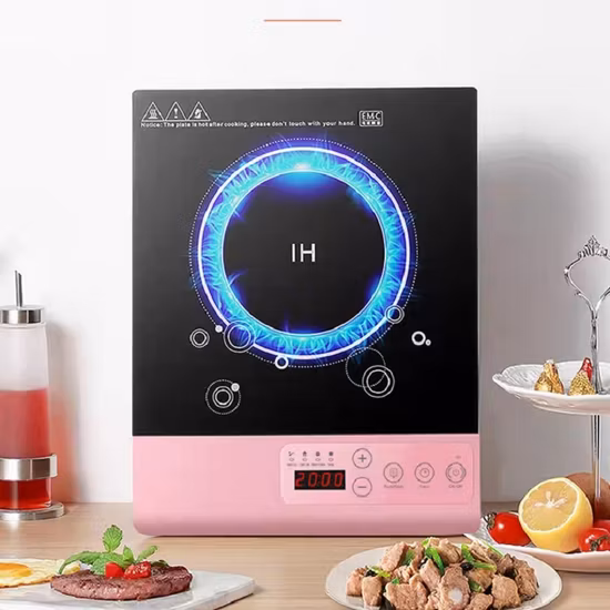 Kitchenware Wok Multiple Functions 2023 All in One Induction Burner Multi-Function Electric Cooker Single Burner