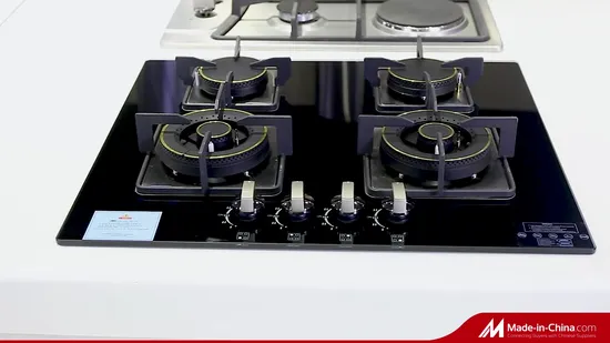 2021 New Modle High Quality Indoor Africa Ss 5 Burner