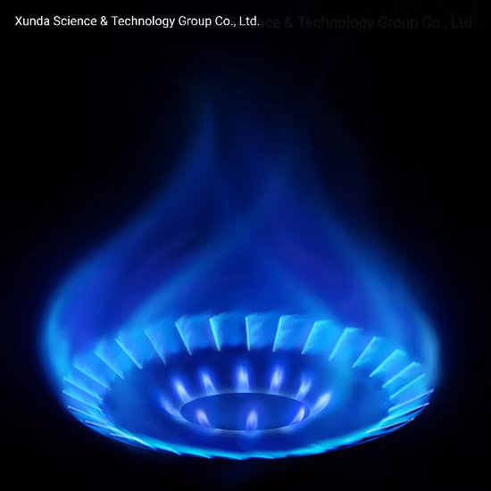 Manufacturer Origin Double Burners Stainless Steel Double Burners High Efficiency Table Top Gas Stove Home Gas Cooking Burner