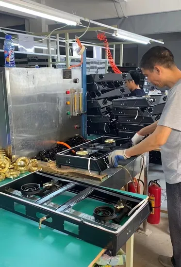 Kitchen Appliance Tempered Glass Top Gas Stove 2 Burner